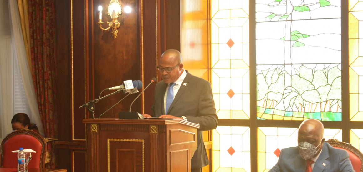 El Defensor del Pueblo presenta el Informe Anual 2020 ante la Cámara de los Diputados